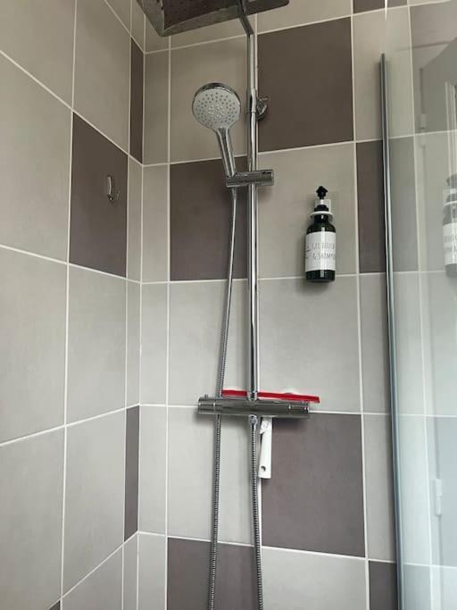 Appartement Proche Des Facs Lebon Clermont-Ferrand Exteriör bild